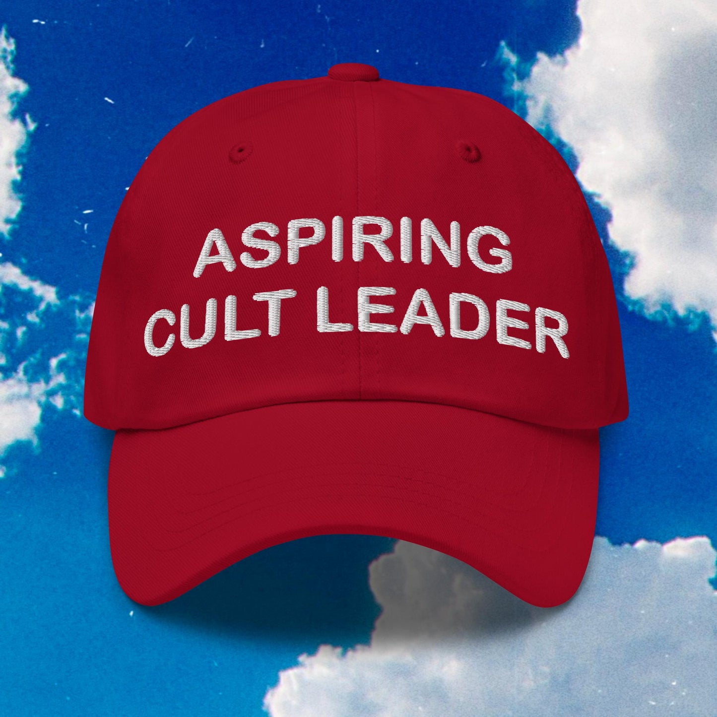 Aspiring Cult Leader Dad Hat