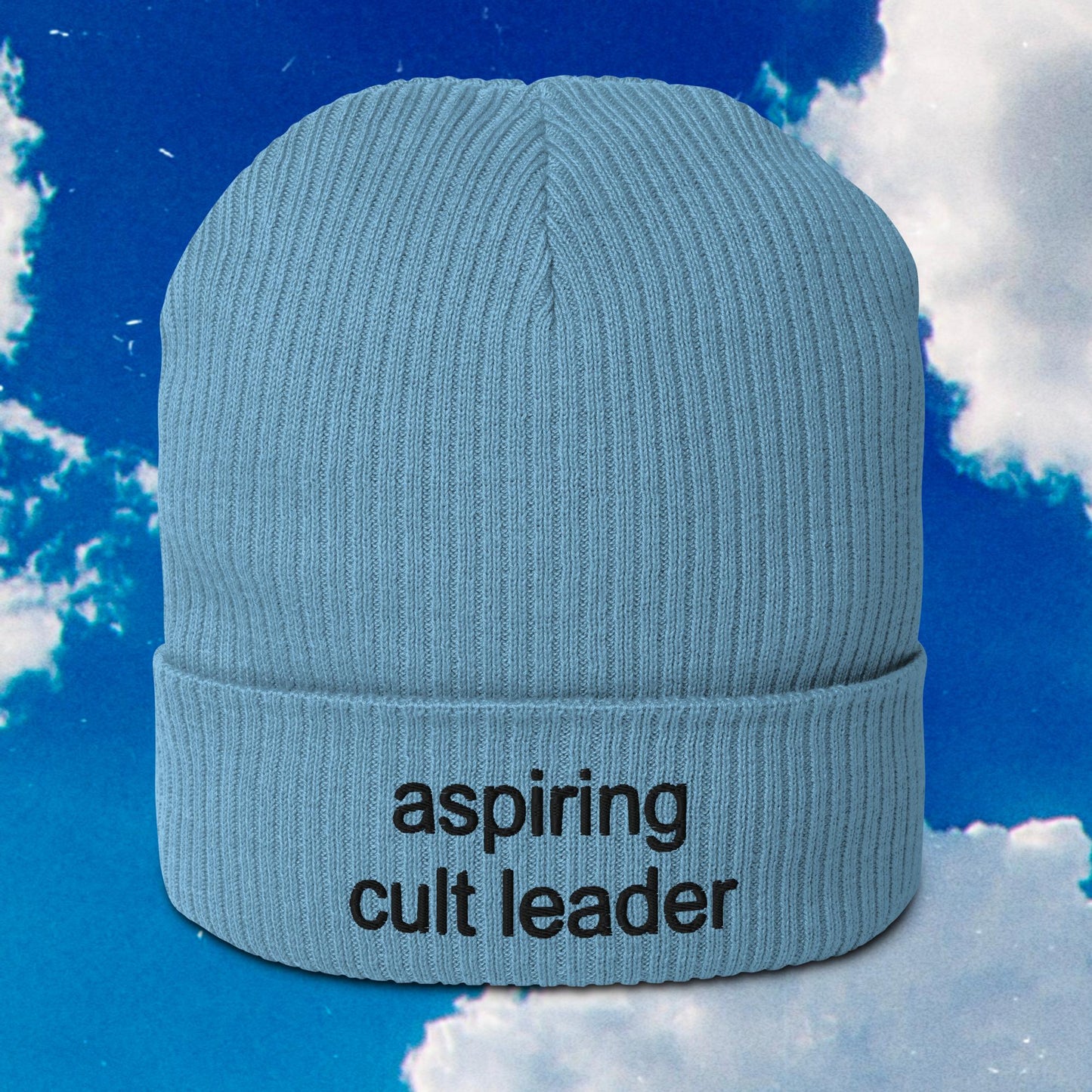 Aspiring Cult Leader Organic Ribbed Beanie
