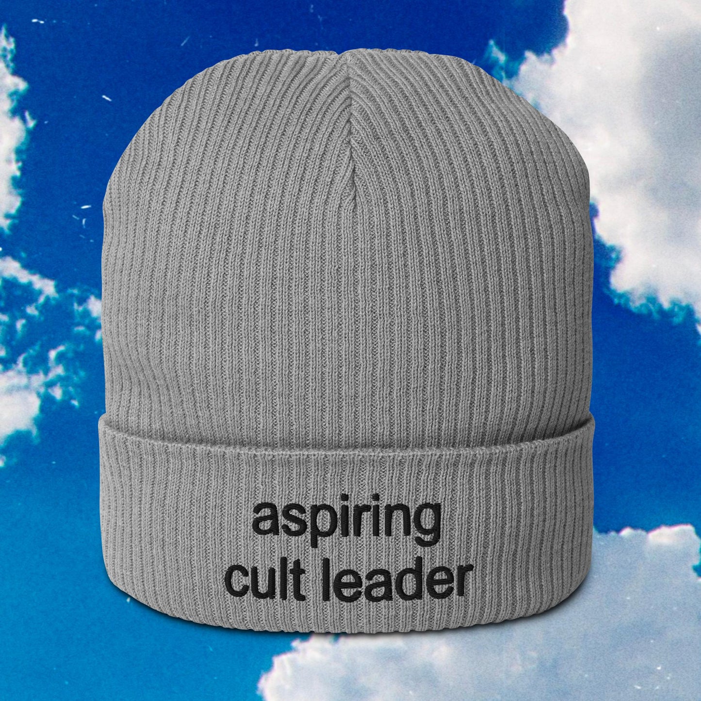 Aspiring Cult Leader Organic Ribbed Beanie