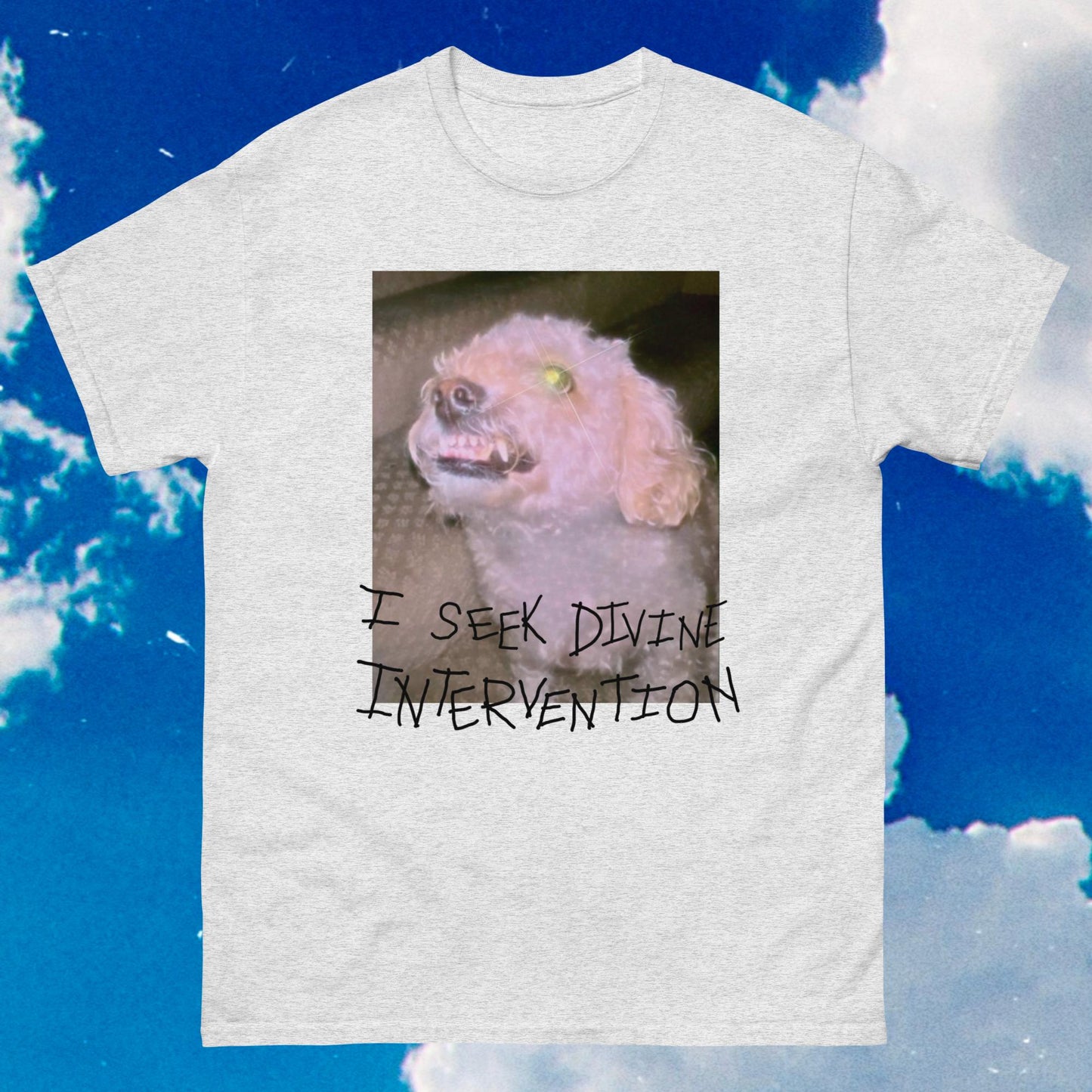 Divine Intervention Unisex Tee (Light Color Prints)
