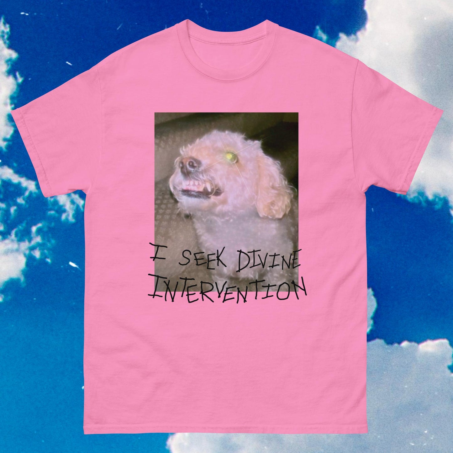 Divine Intervention Unisex Tee (Light Color Prints)