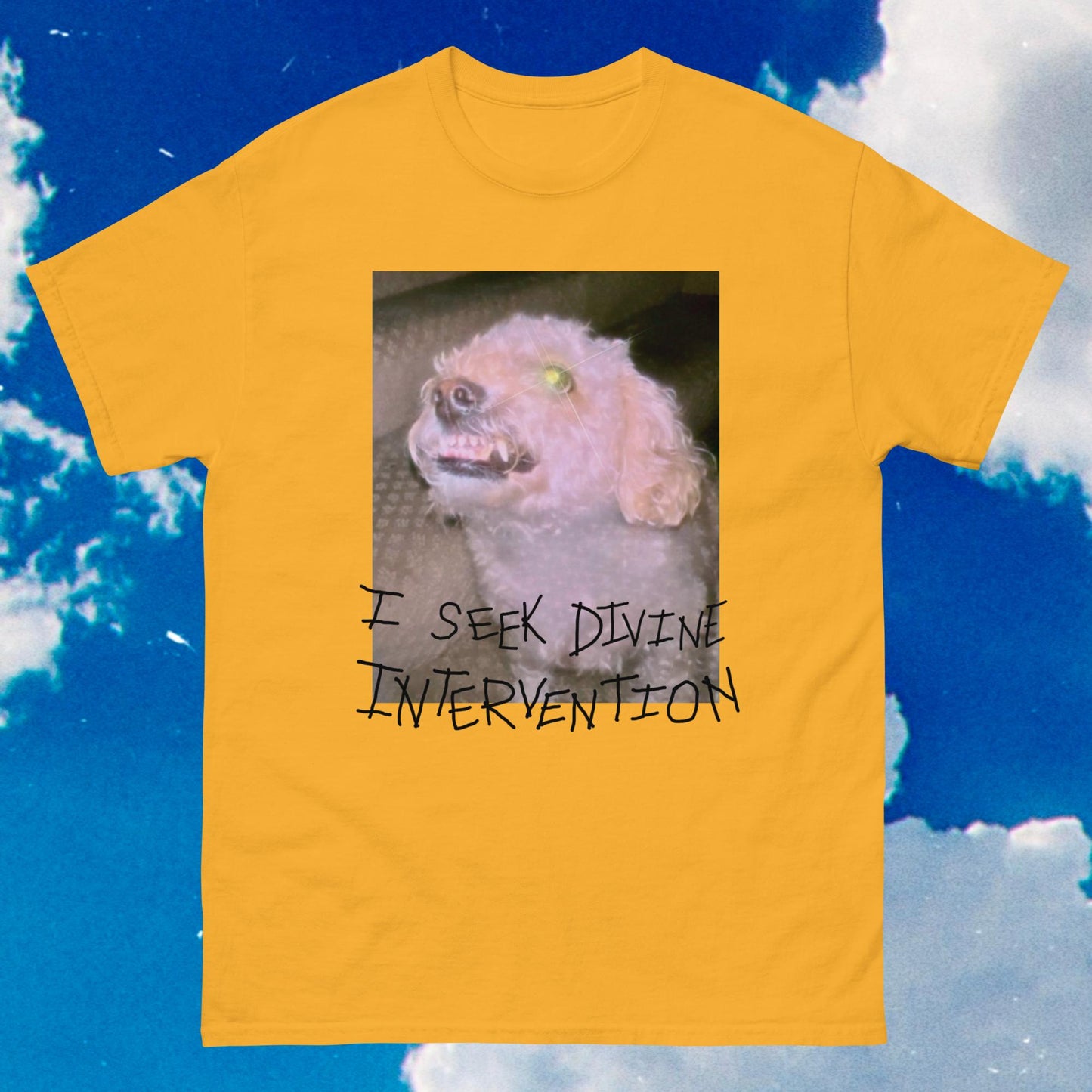 Divine Intervention Unisex Tee (Light Color Prints)