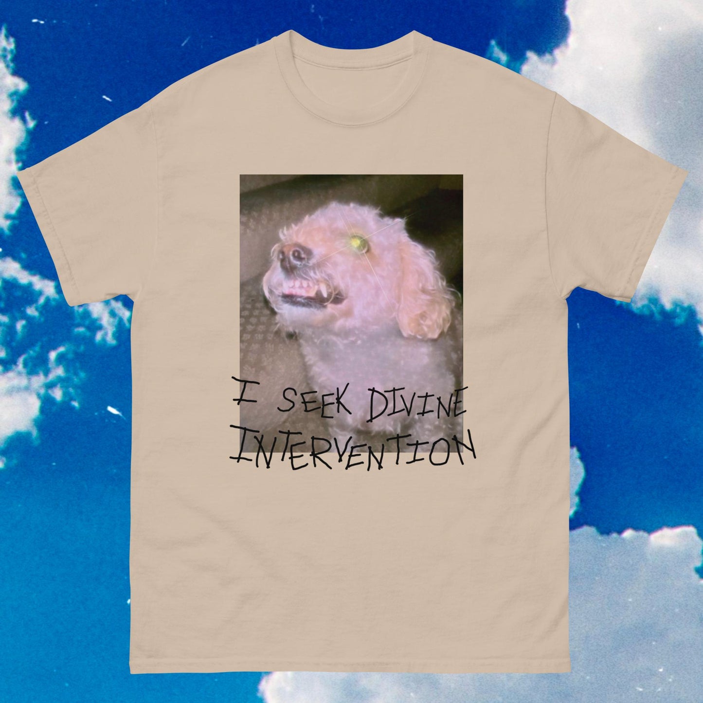 Divine Intervention Unisex Tee (Light Color Prints)