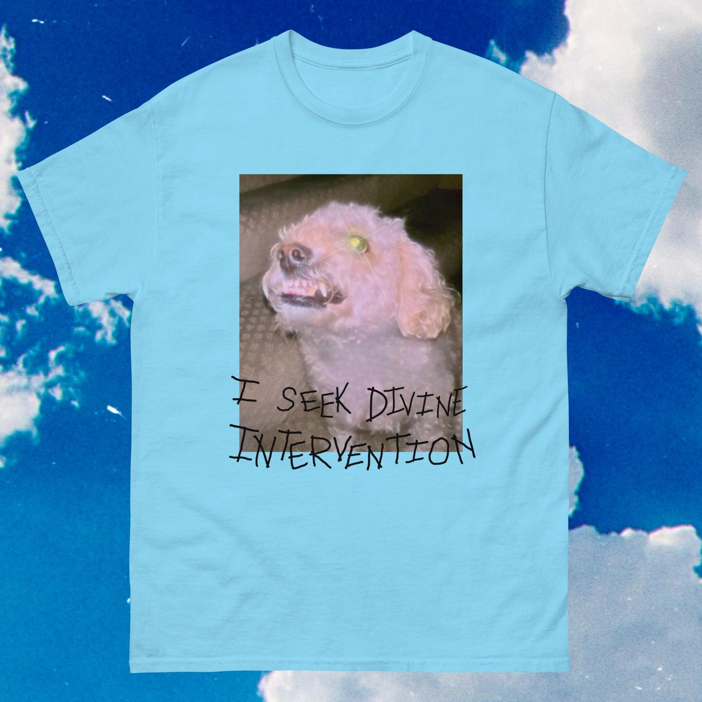 Divine Intervention Unisex Tee (Light Color Prints)
