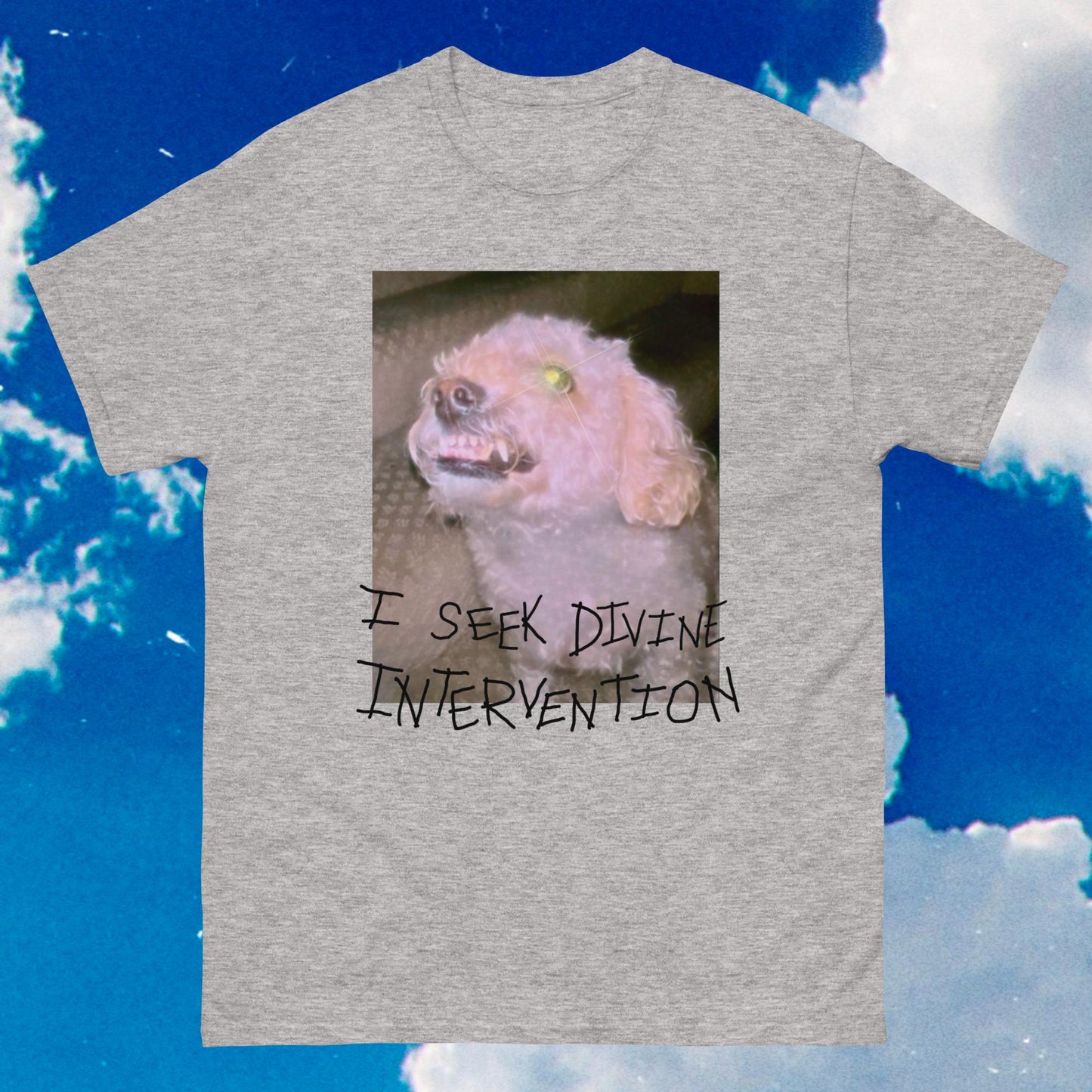 Divine Intervention Unisex Tee (Light Color Prints)