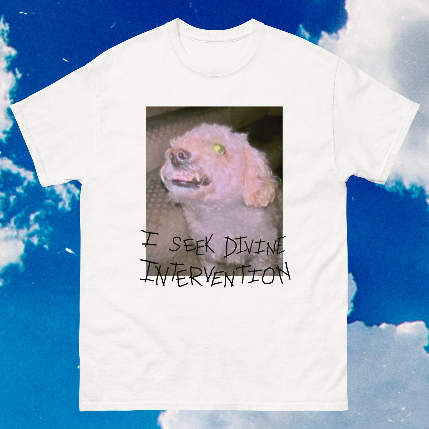 Divine Intervention Unisex Tee (Light Color Prints)